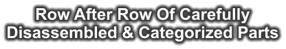 Row After Row Of Carefully  Disassembled & Categorized Parts